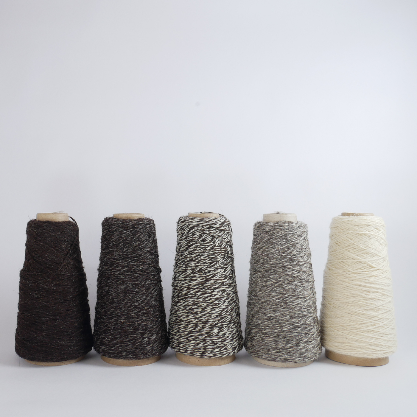 Ecology Wool Yarn
